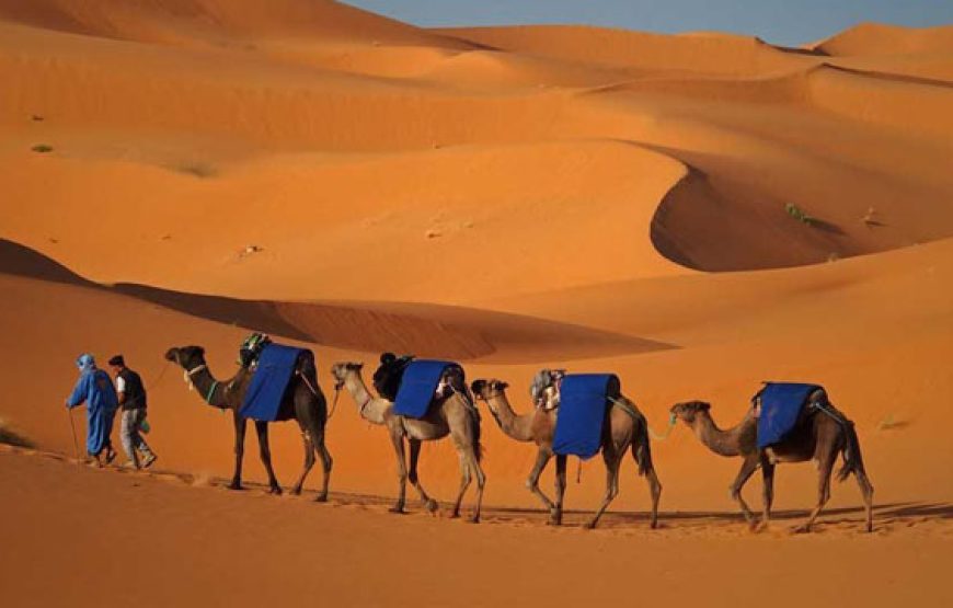 3 Days Fes – Erg Chebbi – Marrakech Camel Tour
