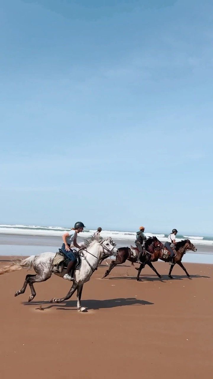 Caballos en la Playa