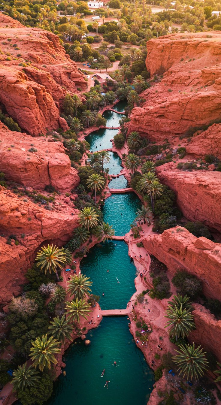 Visita a Oasis Secretos